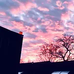 Motel Home Berlin ベルリン